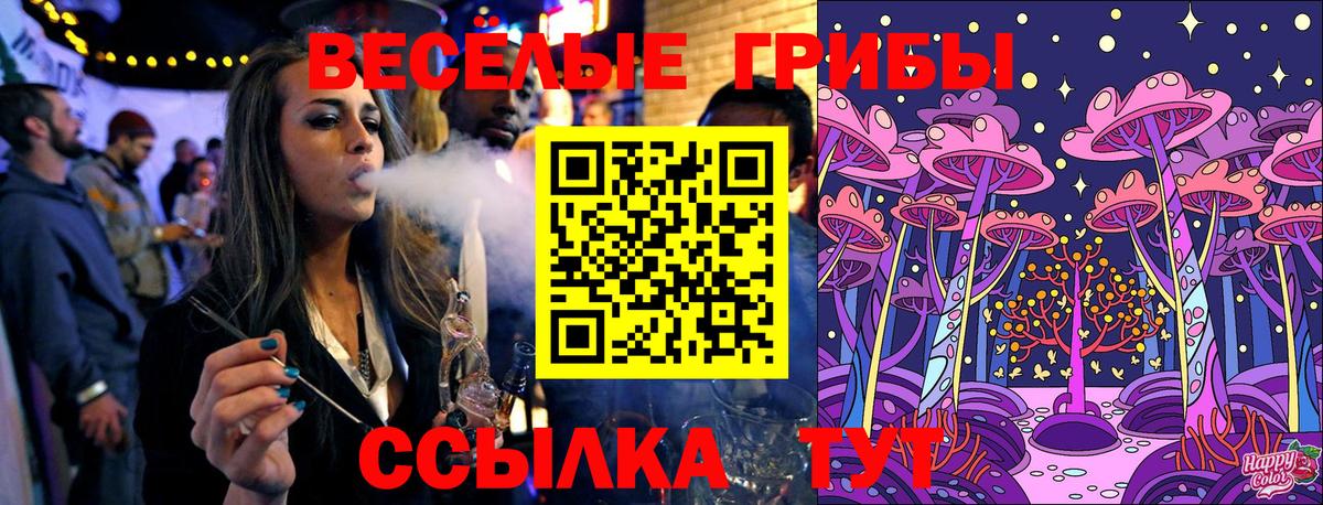 Псилоцибиновые грибы GOLDEN TEACHER  Галлюциногенные грибы мухоморы  Вход с VPN  Дербент 