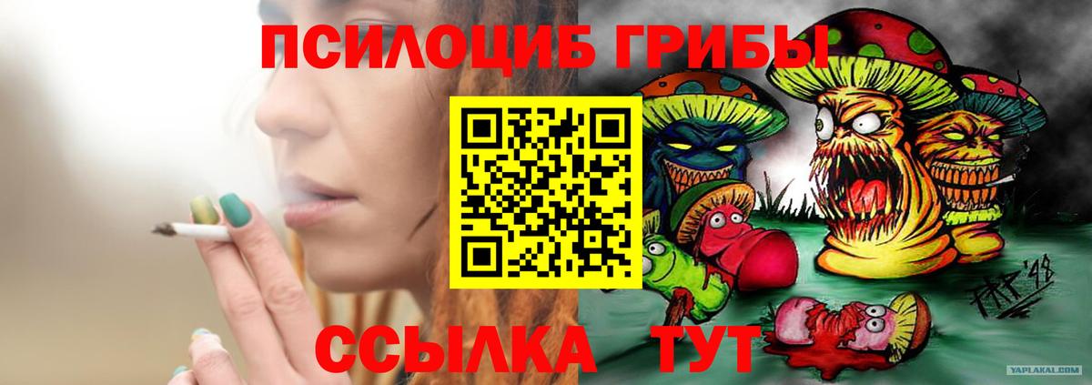 Псилоцибиновые грибы GOLDEN TEACHER Дербент